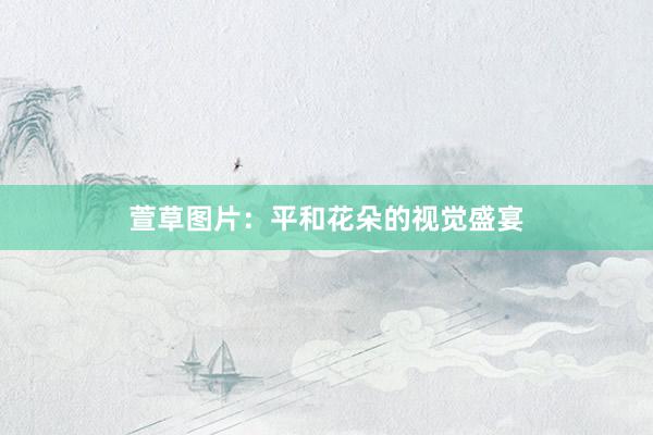 萱草图片：平和花朵的视觉盛宴