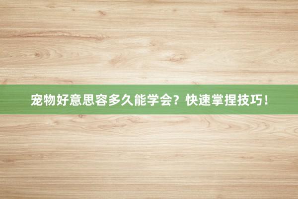 宠物好意思容多久能学会？快速掌捏技巧！