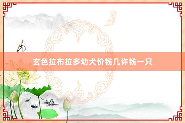 玄色拉布拉多幼犬价钱几许钱一只